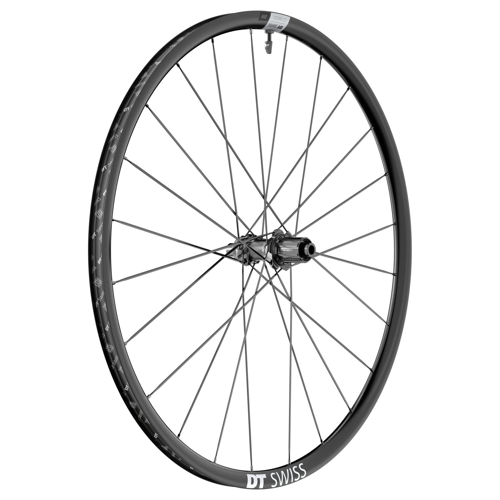 Dt swiss c 1850 spline db canyon sales
